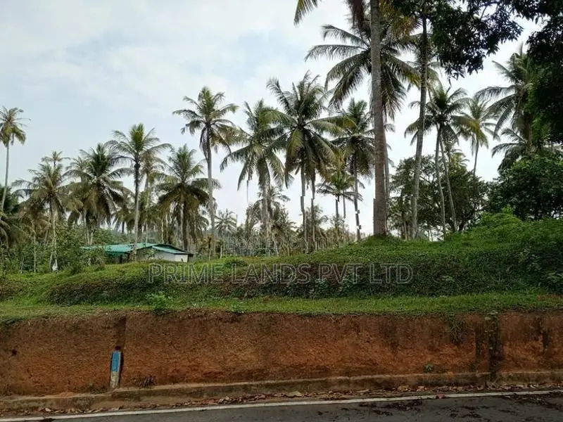 Land Plots in Labeema