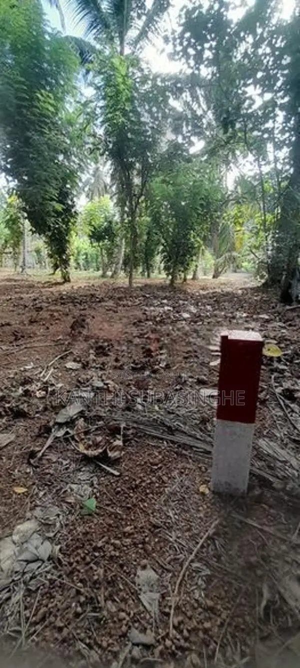 Land For Sale In Minuwangoda