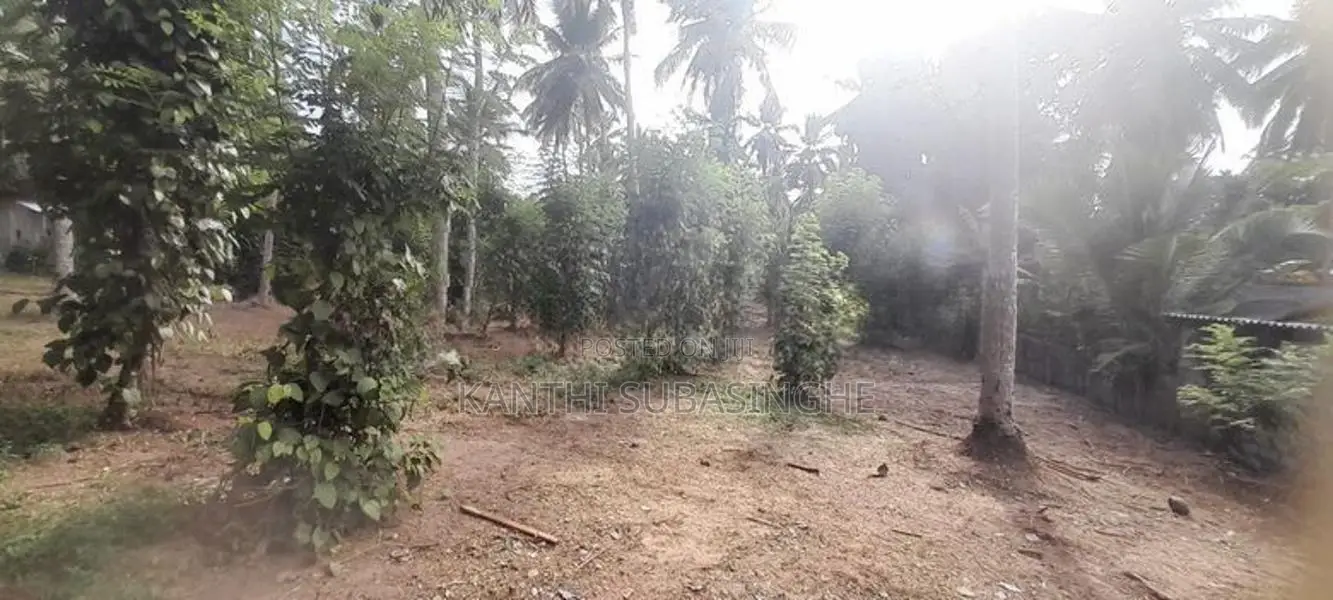 Land For Sale In Minuwangoda