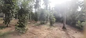 Land For Sale In Minuwangoda