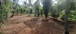 Land For Sale In Minuwangoda