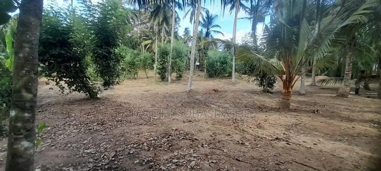 Land For Sale In Minuwangoda
