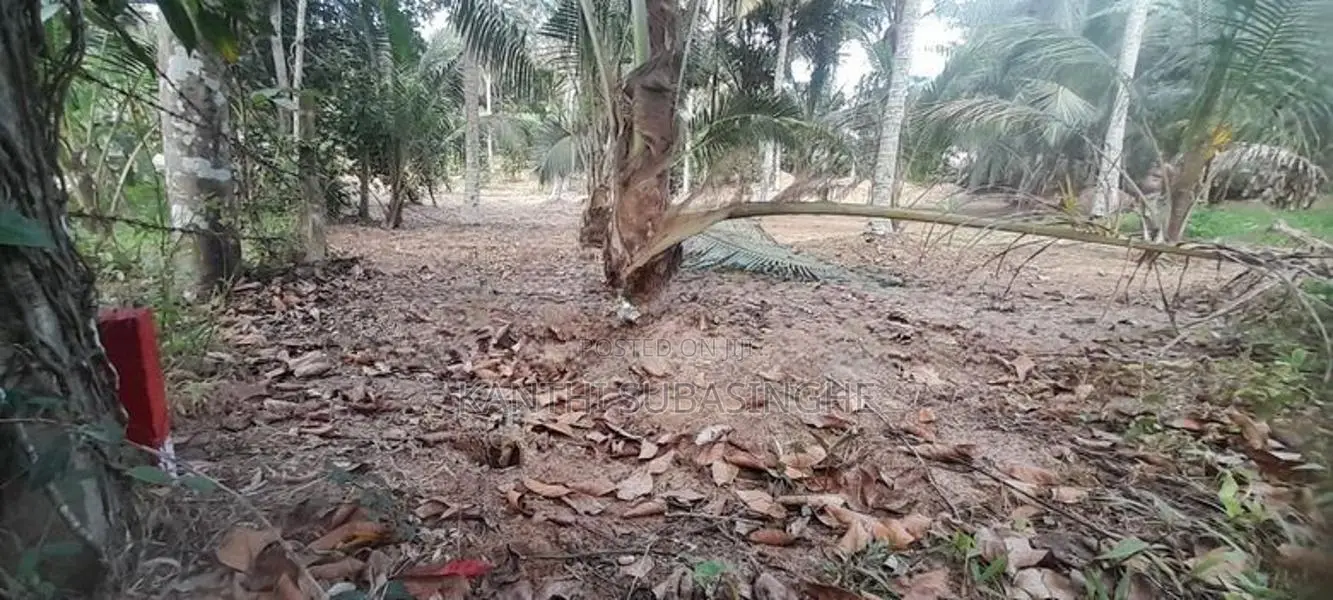 Land For Sale In Minuwangoda