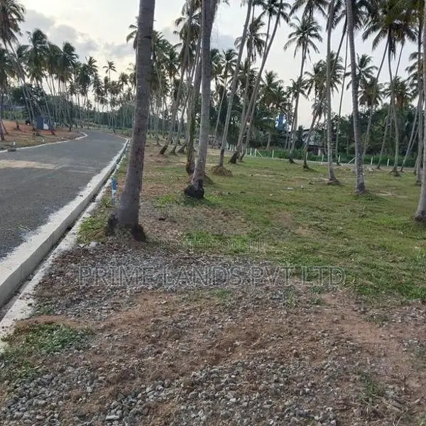 පැල්ලන්දෙණිය හන්දියෙන්ම සුපිරි ඉඩමක්