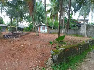 බෝමිරිය, කඩුවෙල ප්‍රදේශයේ පර්චස් 25ක පොල් ඉඩම විකිණීමට