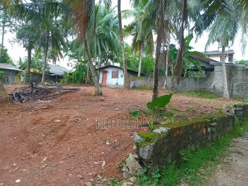 බෝමිරිය, කඩුවෙල ප්‍රදේශයේ පර්චස් 25ක පොල් ඉඩම විකිණීමට