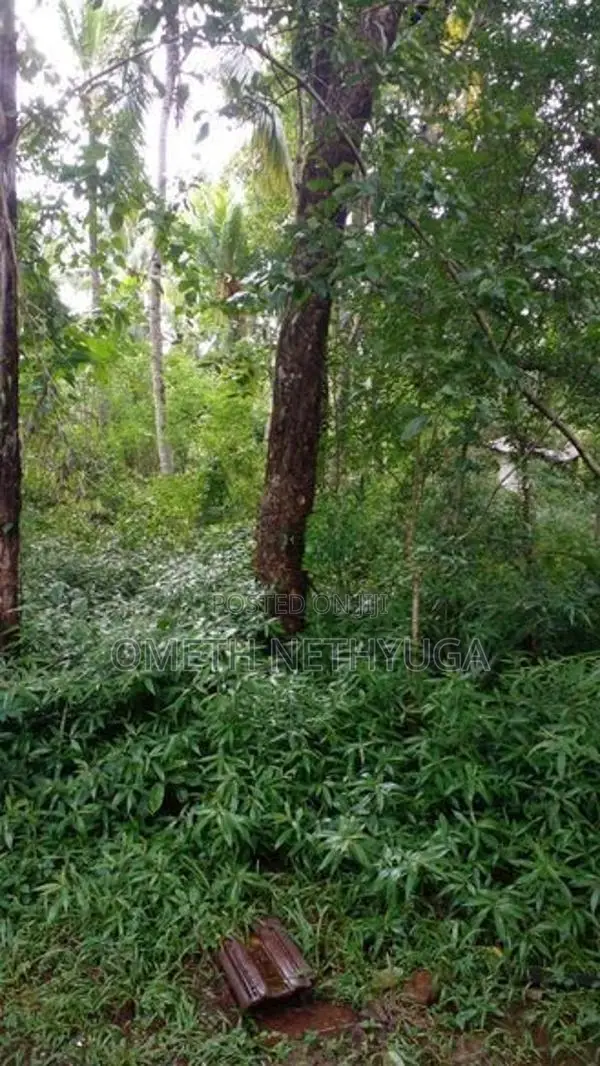 Land for Sale in Bibile