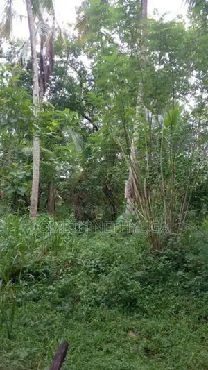 Land for Sale in Bibile