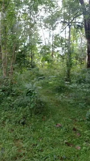 Land for Sale in Bibile