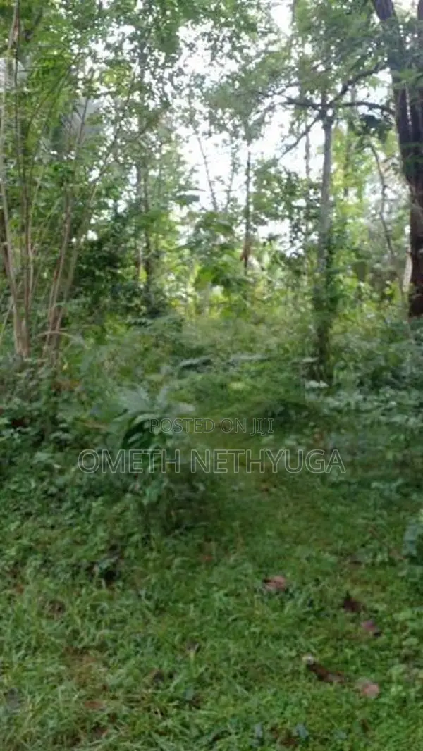 Land for Sale in Bibile
