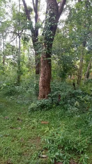 Land for Sale in Bibile