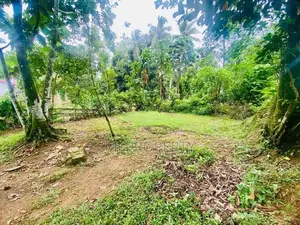 ( IS-1191) Valuable Residential Bare Land Sale in Homagama