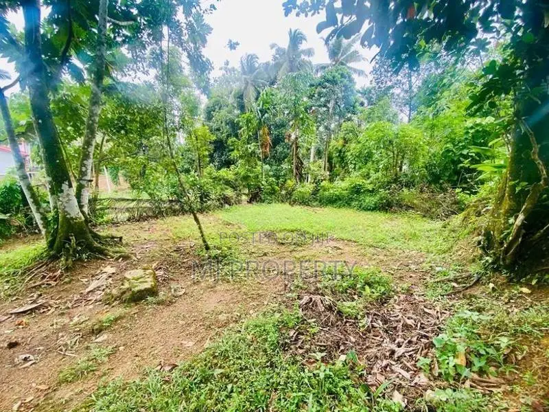 ( IS-1191) Valuable Residential Bare Land Sale in Homagama
