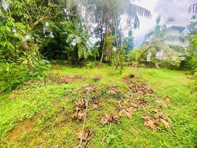 ( IS-1191) Valuable Residential Bare Land Sale in Homagama