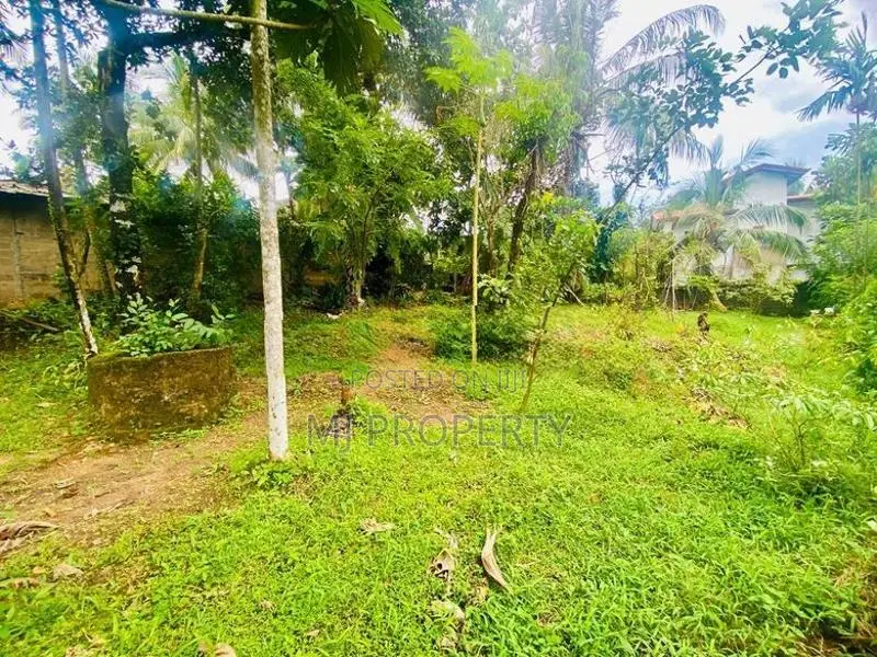 ( IS-1191) Valuable Residential Bare Land Sale in Homagama