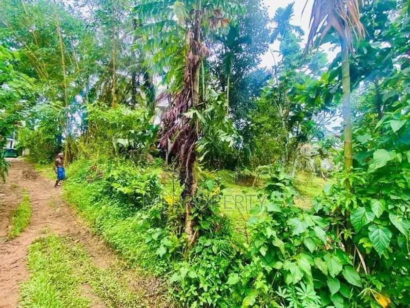 ( IS-1191) Valuable Residential Bare Land Sale in Homagama