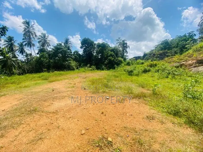 ( IS-1192) Valuable Commercial Bare Land Sale in Homagama