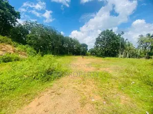 ( IS-1192) Valuable Commercial Bare Land Sale in Homagama