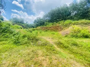 ( IS-1192) Valuable Commercial Bare Land Sale in Homagama