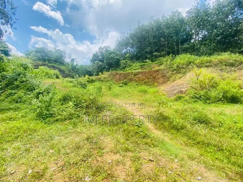 ( IS-1192) Valuable Commercial Bare Land Sale in Homagama