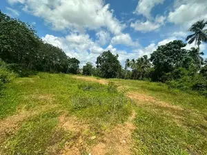 ( IS-1192) Valuable Commercial Bare Land Sale in Homagama