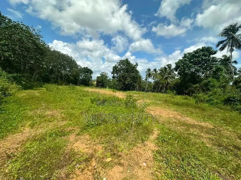 ( IS-1192) Valuable Commercial Bare Land Sale in Homagama