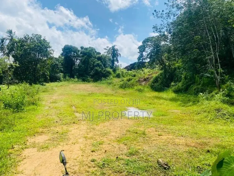( IS-1192) Valuable Commercial Bare Land Sale in Homagama