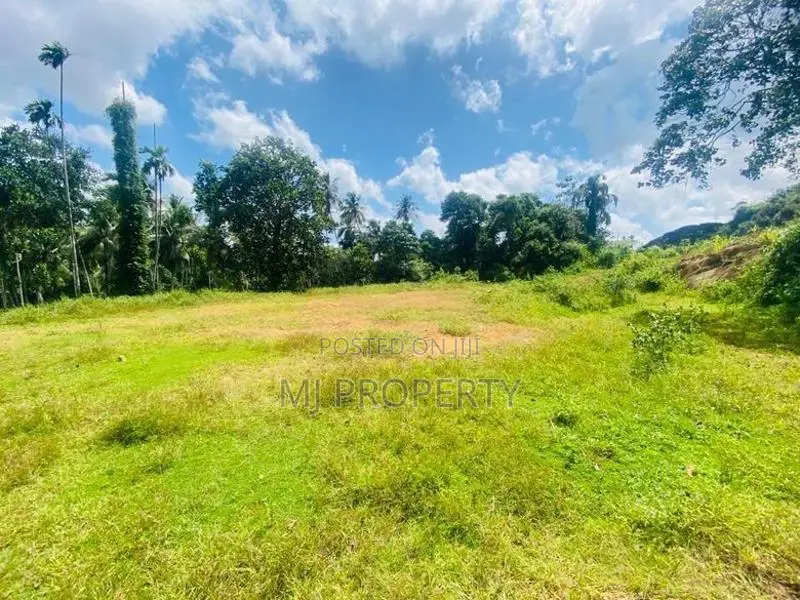 ( IS-1192) Valuable Commercial Bare Land Sale in Homagama