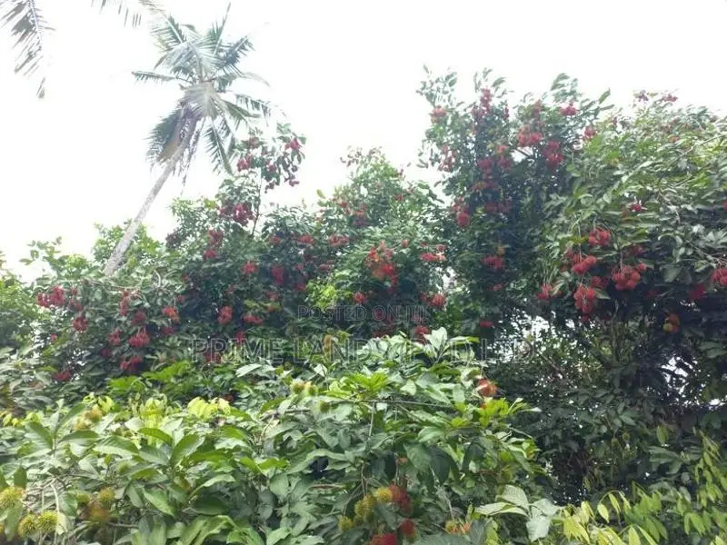 නේවාසික බිම් කොටස් විකිණීම ආට්ගල