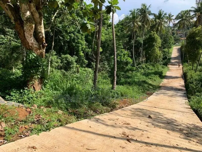 Land for Sale Gelioya