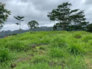 Land for Sale Pussellawa