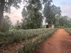 82 Perch Land For Sale Near Dimo Junction Biyagama(LA-GAMBG-159)