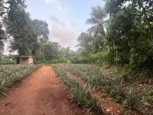 82 Perch Land For Sale Near Dimo Junction Biyagama(LA-GAMBG-159)
