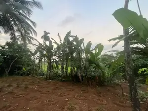 82 Perch Land For Sale Near Dimo Junction Biyagama(LA-GAMBG-159)
