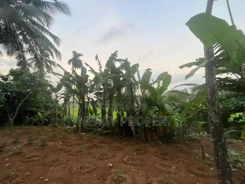 82 Perch Land For Sale Near Dimo Junction Biyagama(LA-GAMBG-159)