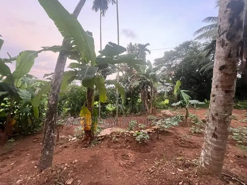 82 Perch Land For Sale Near Dimo Junction Biyagama(LA-GAMBG-159)