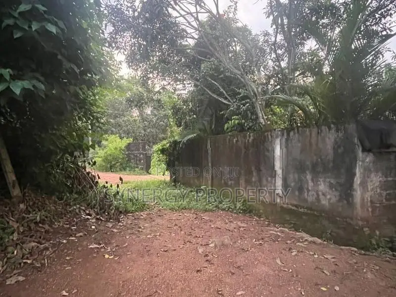 82 Perch Land For Sale Near Dimo Junction Biyagama(LA-GAMBG-159)