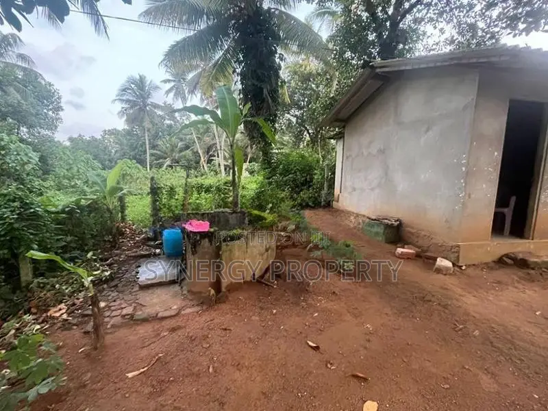 82 Perch Land For Sale Near Dimo Junction Biyagama(LA-GAMBG-159)