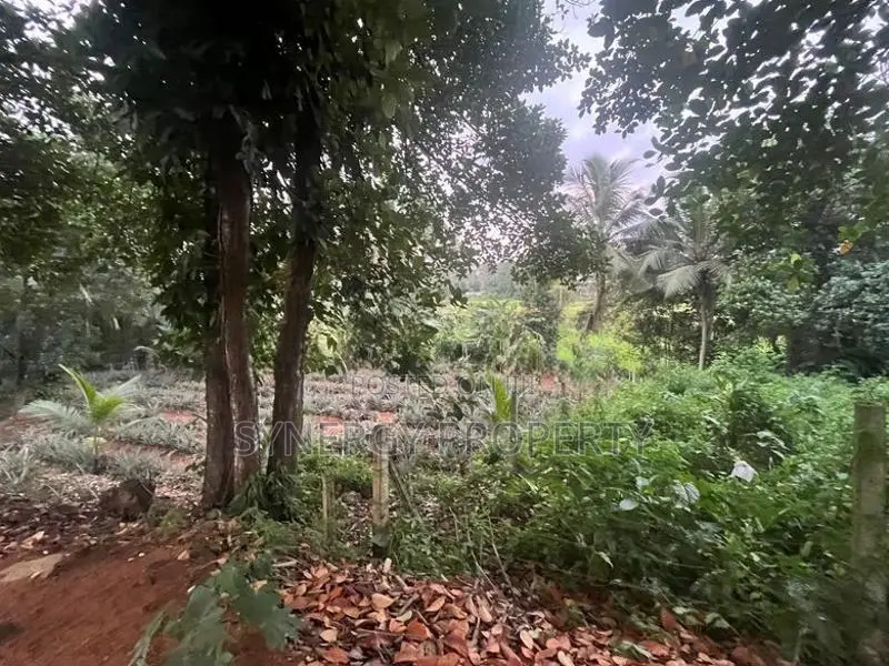 82 Perch Land For Sale Near Dimo Junction Biyagama(LA-GAMBG-159)