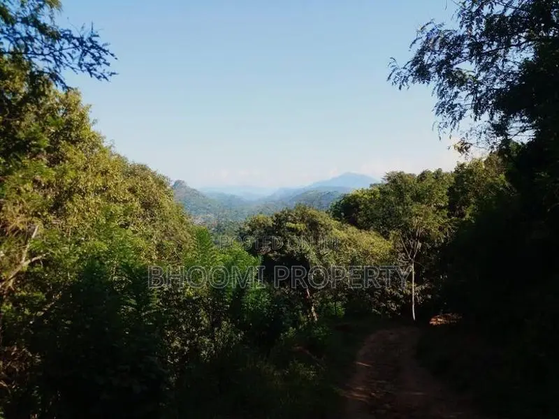 Land with Stunning Lake Views in Digana