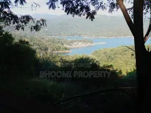 Land for Sale Digana