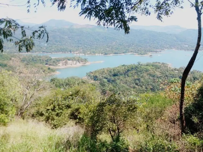 Land for Sale Digana