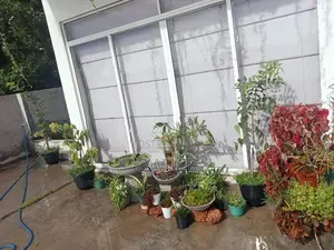 Room for Rent කිරිබත්ගොඩ