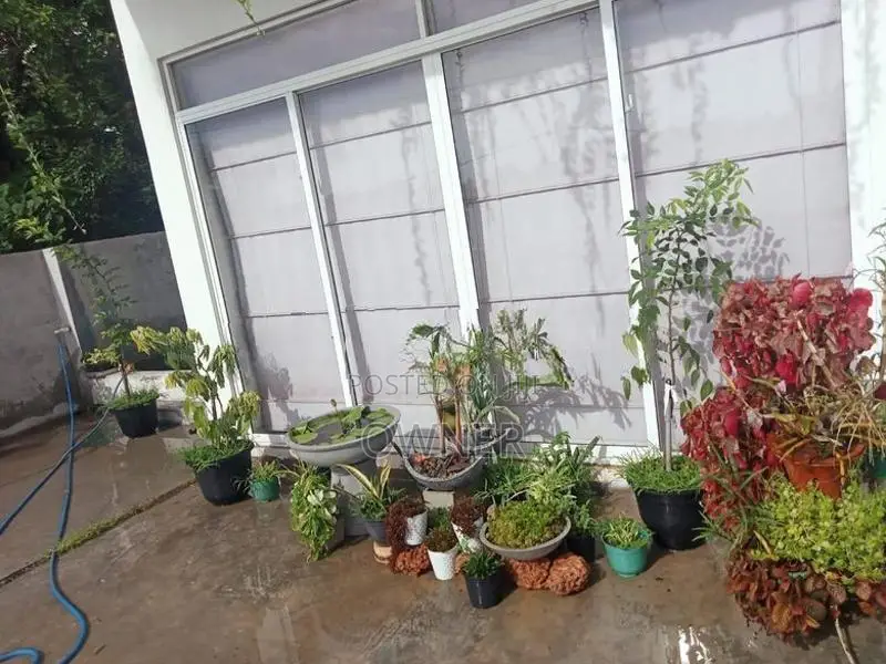 Room for Rent කිරිබත්ගොඩ