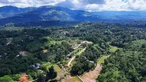 Land for Sale in Peradeniya