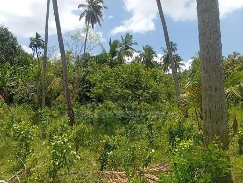 Land for Sale Narammala