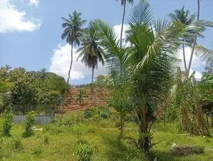 Land for Sale Narammala