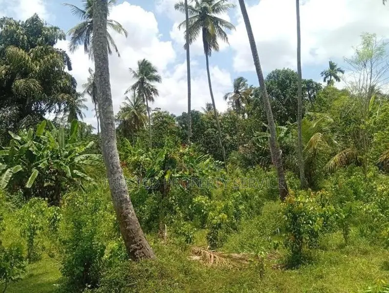 Land for Sale Narammala