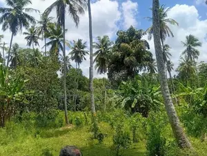 Land for Sale Narammala