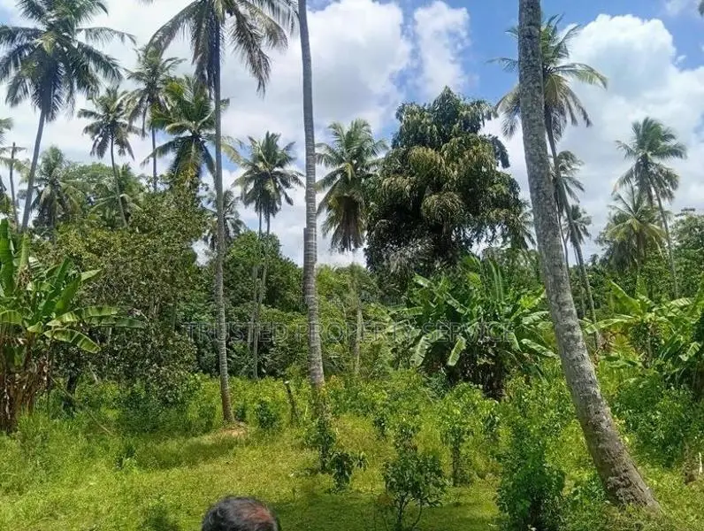 Land for Sale Narammala